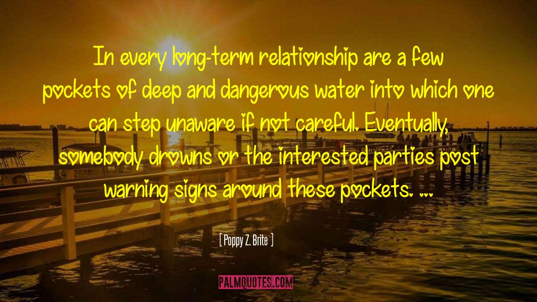 Poppy Z. Brite Quotes: In every long-term relationship are