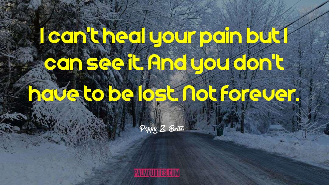 Poppy Z. Brite Quotes: I can't heal your pain