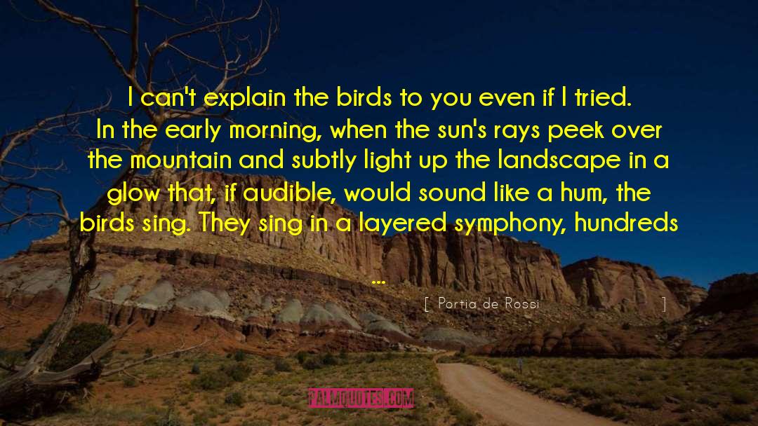 Portia De Rossi Quotes: I can't explain the birds
