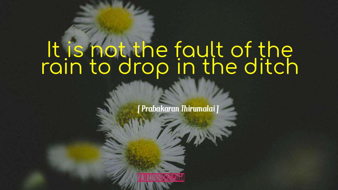 Prabakaran Thirumalai Quotes: It is not the fault