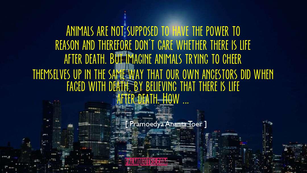 Pramoedya Ananta Toer Quotes: Animals are not supposed to