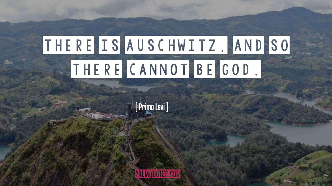 Primo Levi Quotes: There is Auschwitz, and so