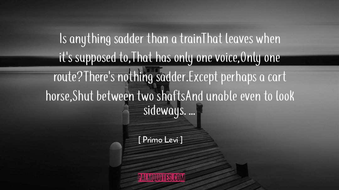 Primo Levi Quotes: Is anything sadder than a