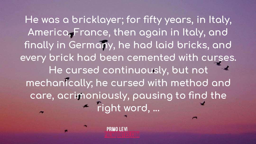 Primo Levi Quotes: He was a bricklayer; for