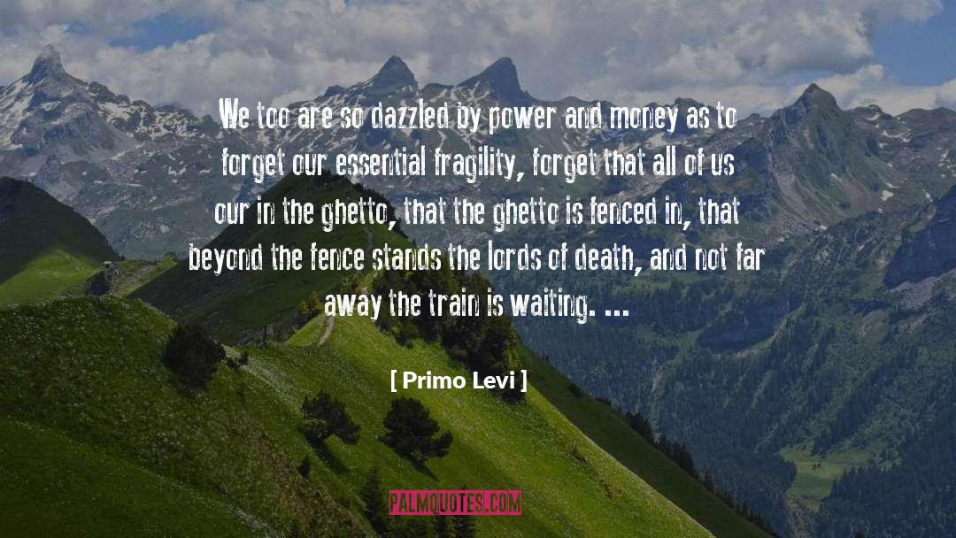 Primo Levi Quotes: We too are so dazzled