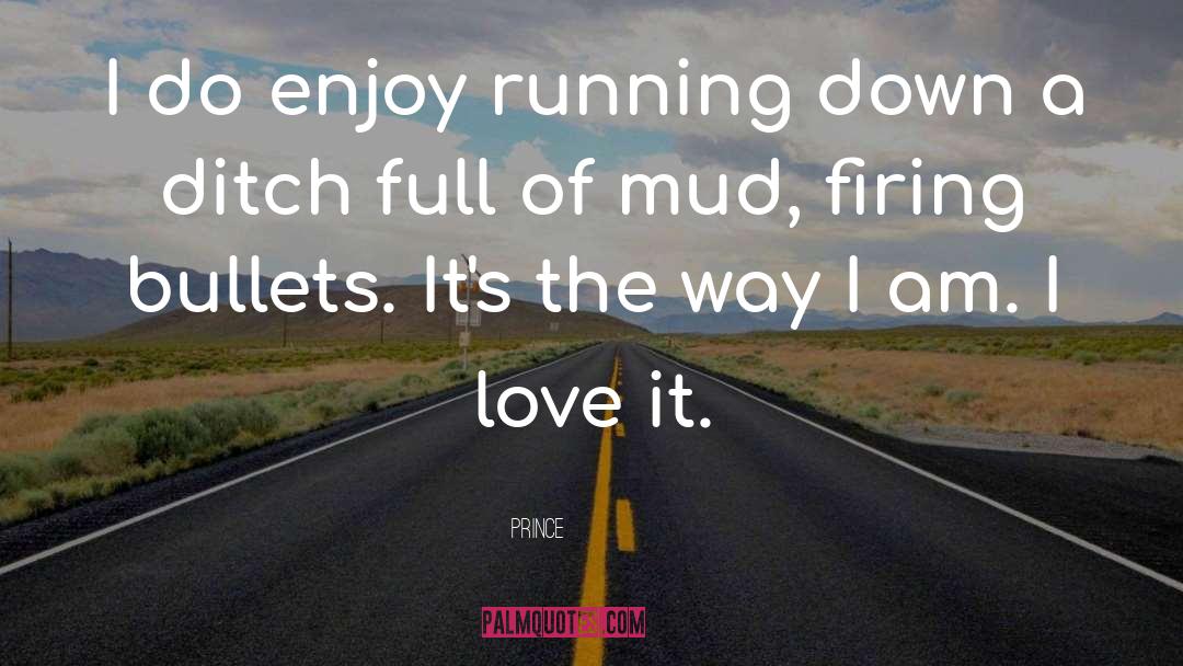 Prince Quotes: I do enjoy running down