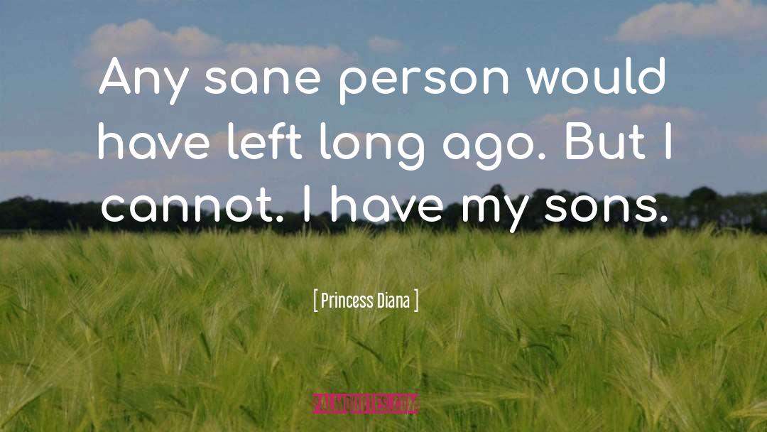 Princess Diana Quotes: Any sane person would have