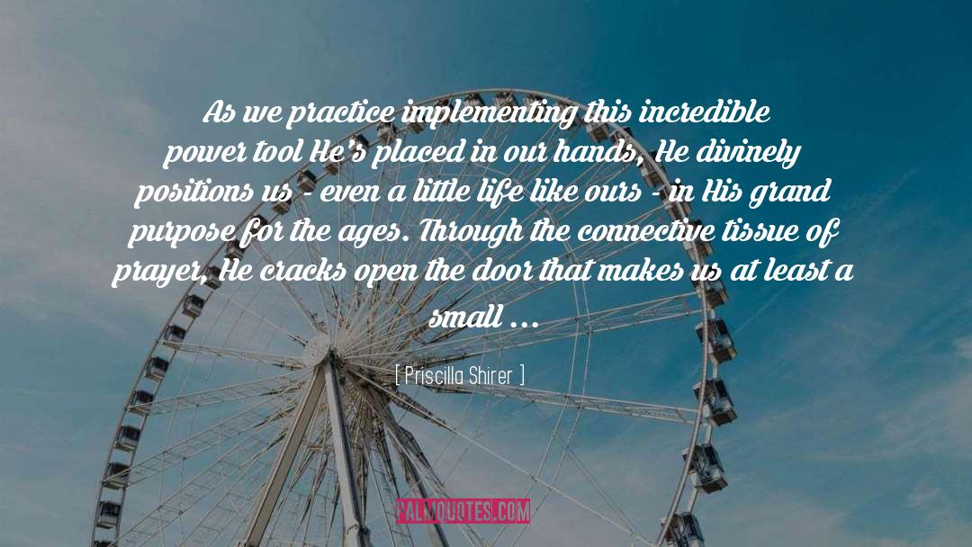 Priscilla Shirer Quotes: As we practice implementing this