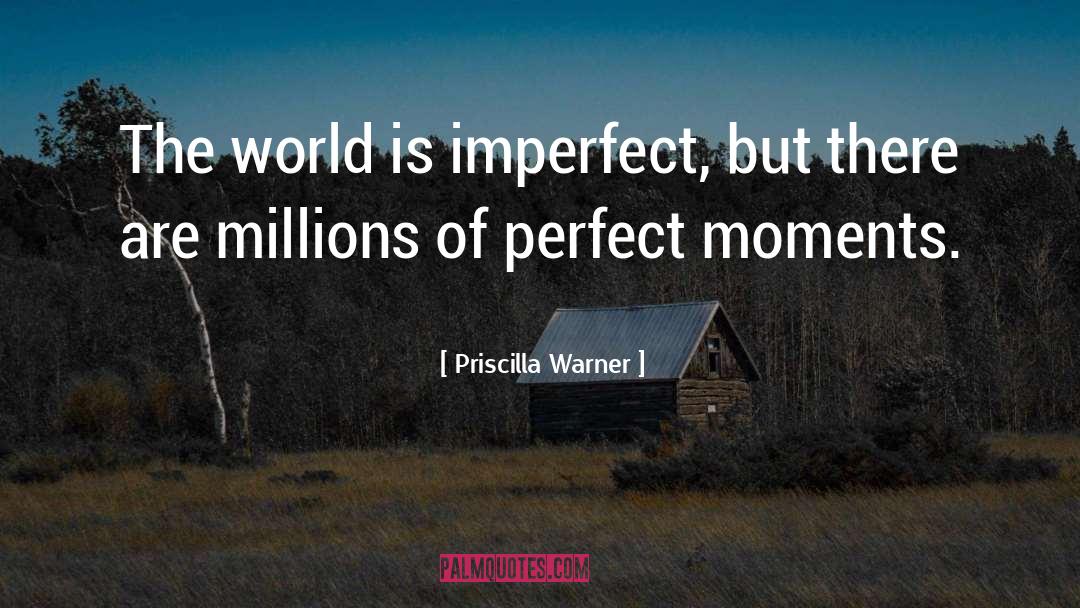 Priscilla Warner Quotes: The world is imperfect, but