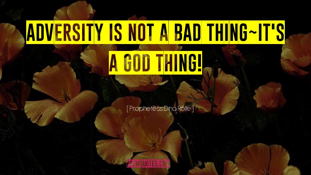 Prophetess Dina Rolle Quotes: Adversity is not a bad