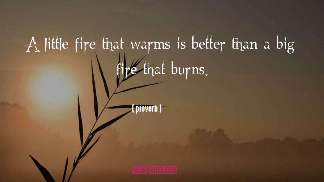 Proverb Quotes: A little fire that warms