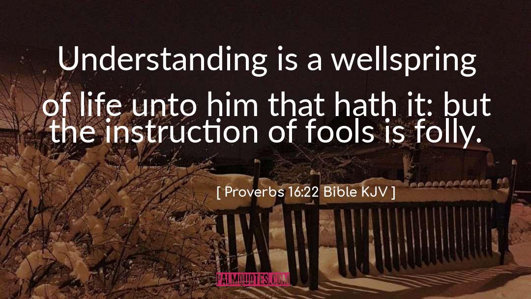 Proverbs 16:22 Bible KJV Quotes: Understanding is a wellspring of