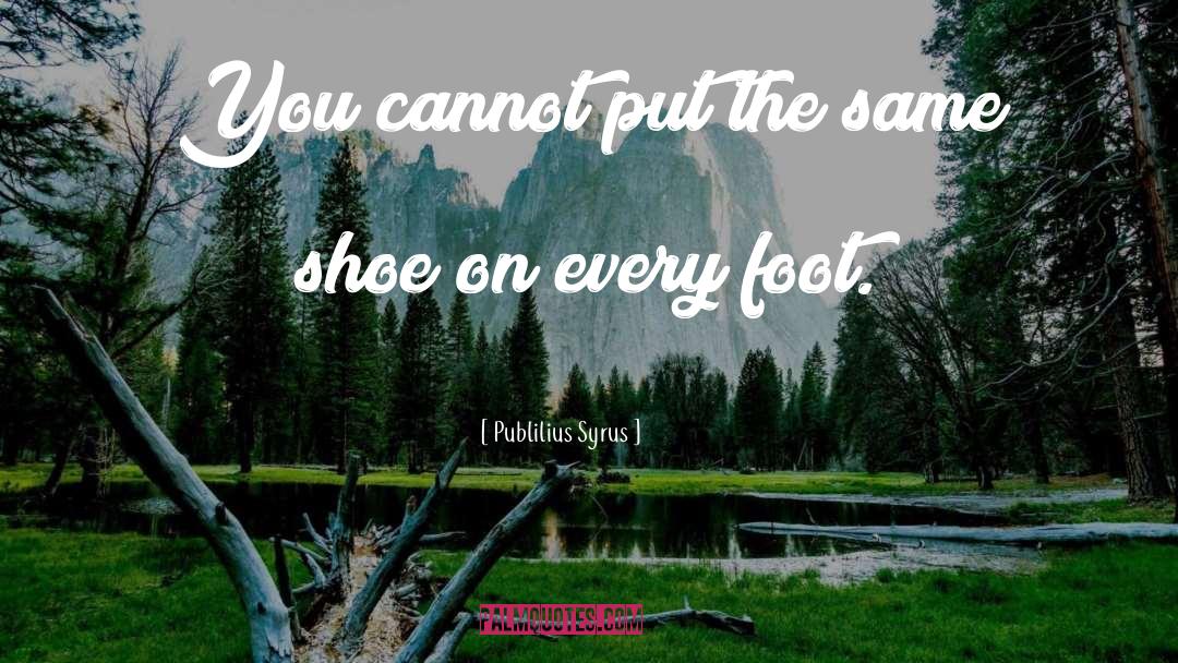 Publilius Syrus Quotes: You cannot put the same