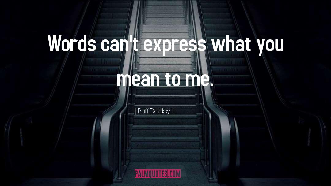 Puff Daddy Quotes: Words can't express what you