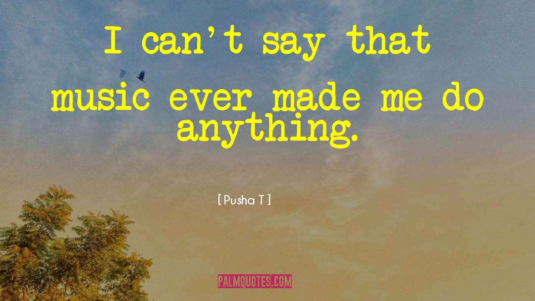Pusha T Quotes: I can't say that music