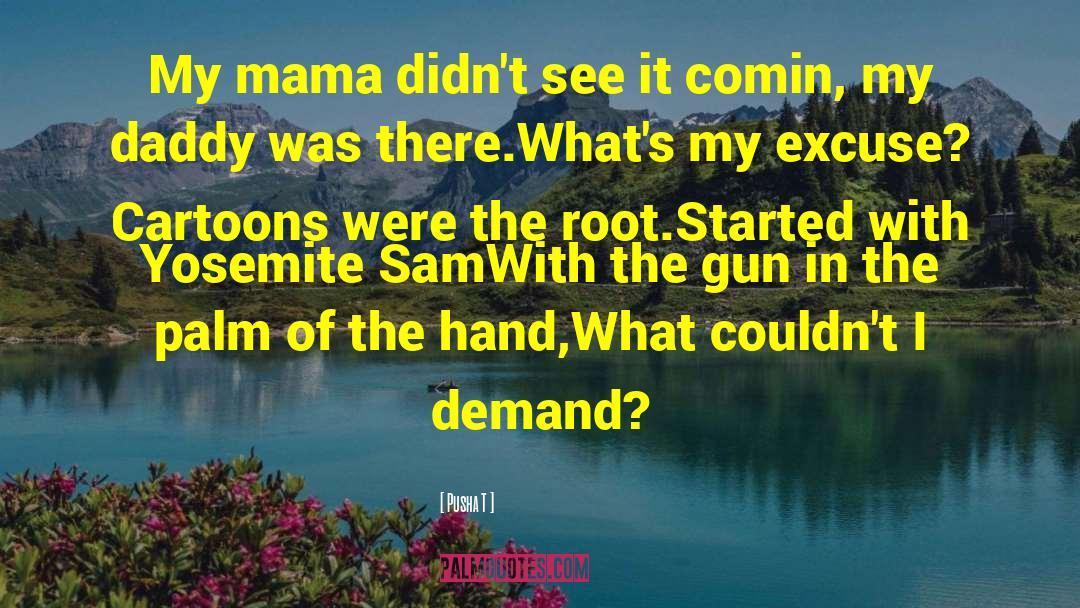 Pusha T Quotes: My mama didn't see it