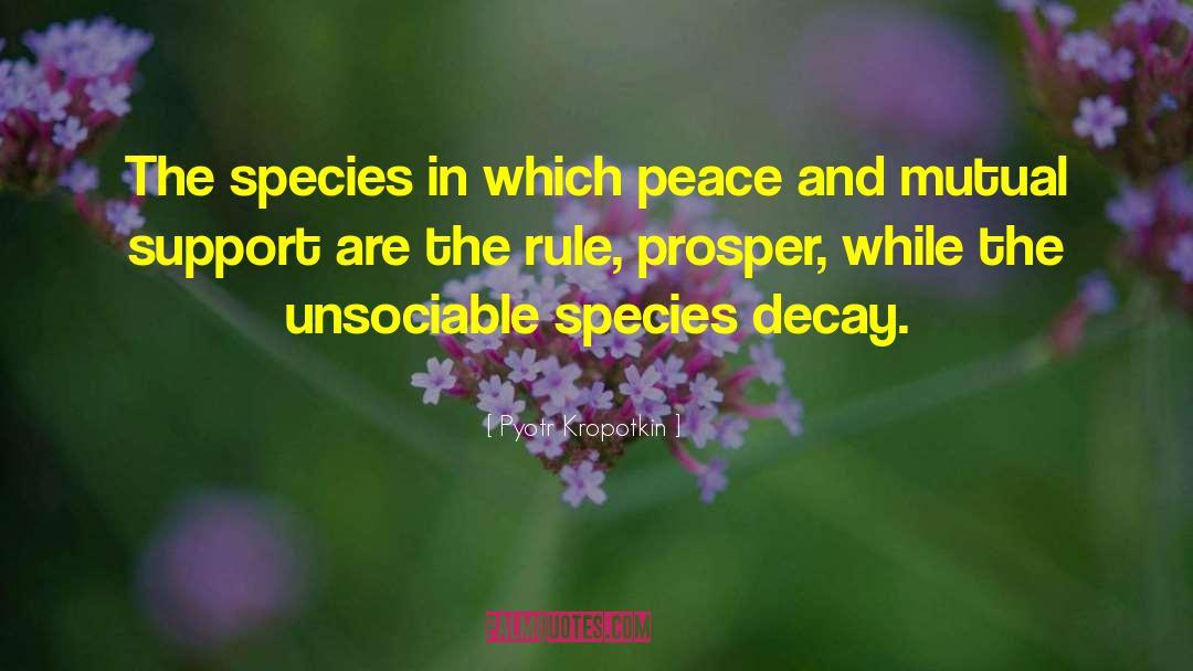 Pyotr Kropotkin Quotes: The species in which peace