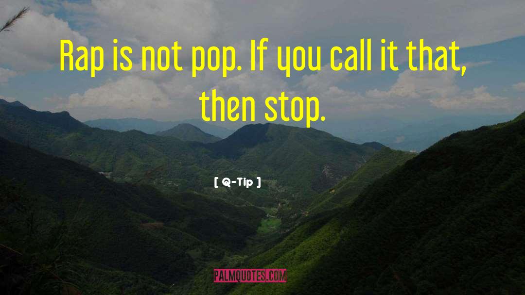 Q-Tip Quotes: Rap is not pop. If