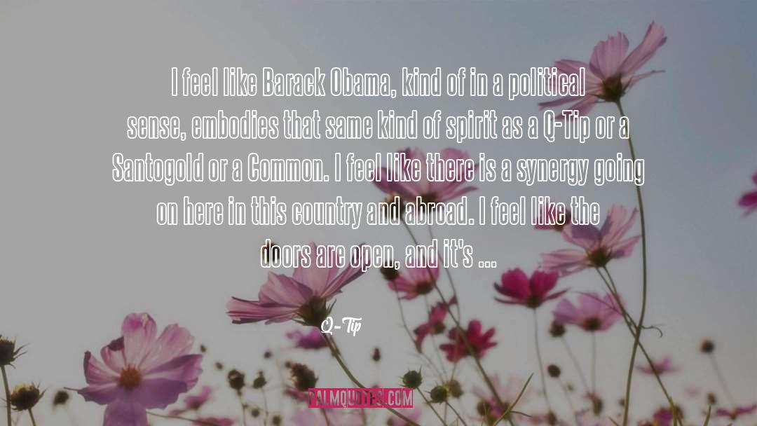 Q-Tip Quotes: I feel like Barack Obama,