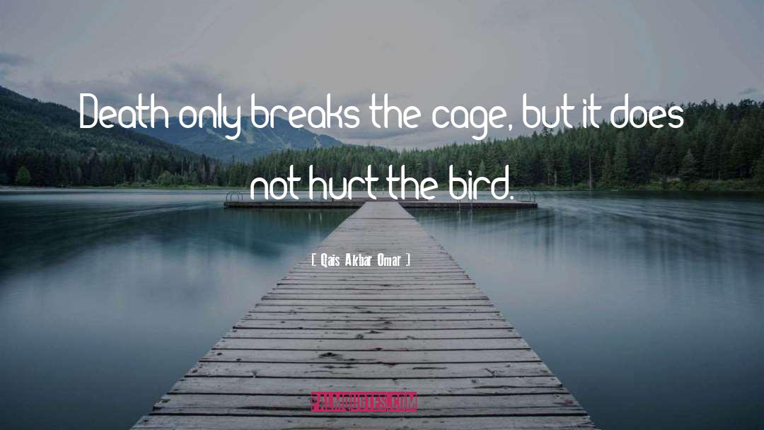 Qais Akbar Omar Quotes: Death only breaks the cage,