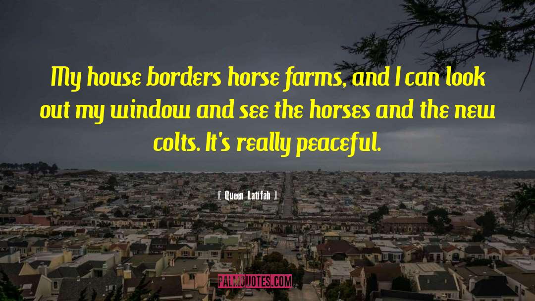 Queen Latifah Quotes: My house borders horse farms,