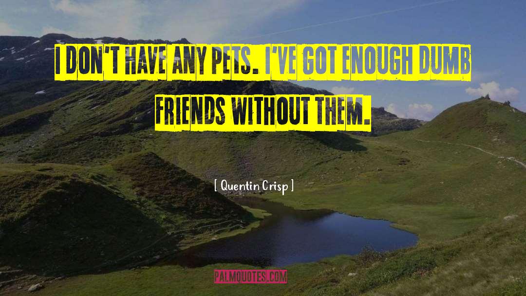 Quentin Crisp Quotes: I don't have any pets.