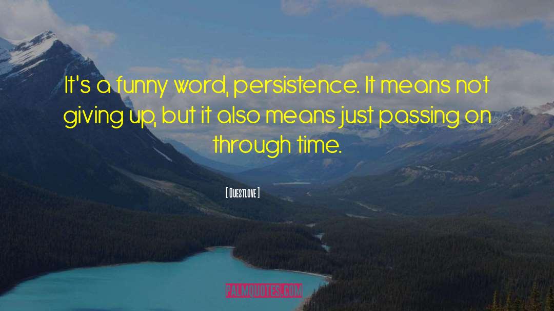 Questlove Quotes: It's a funny word, persistence.