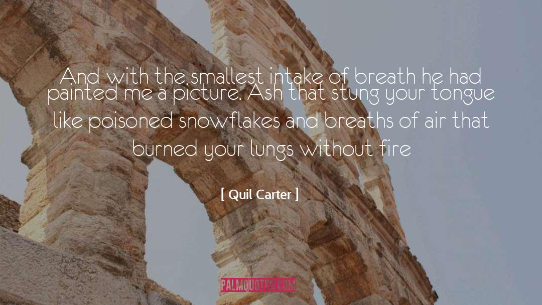 Quil Carter Quotes: And with the smallest intake