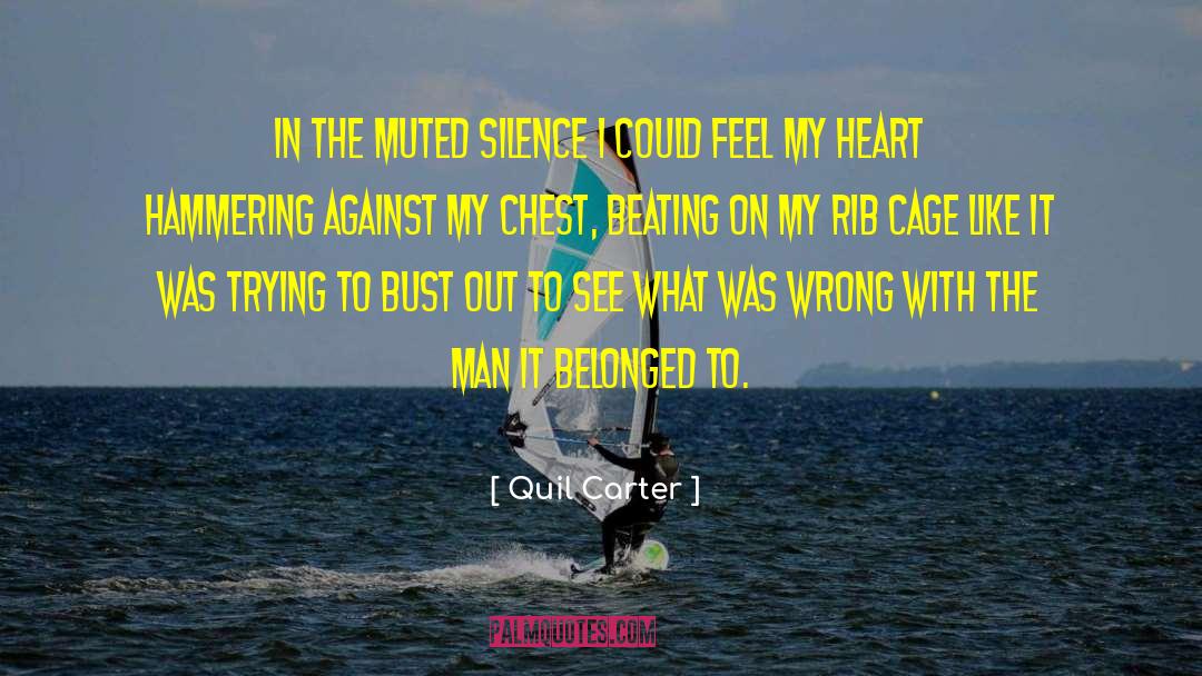 Quil Carter Quotes: In the muted silence I