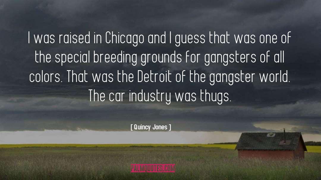 Quincy Jones Quotes: I was raised in Chicago