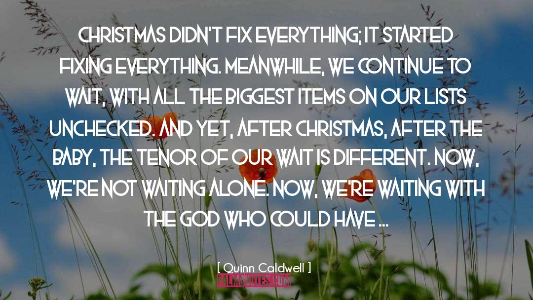Quinn Caldwell Quotes: Christmas didn't fix everything; it