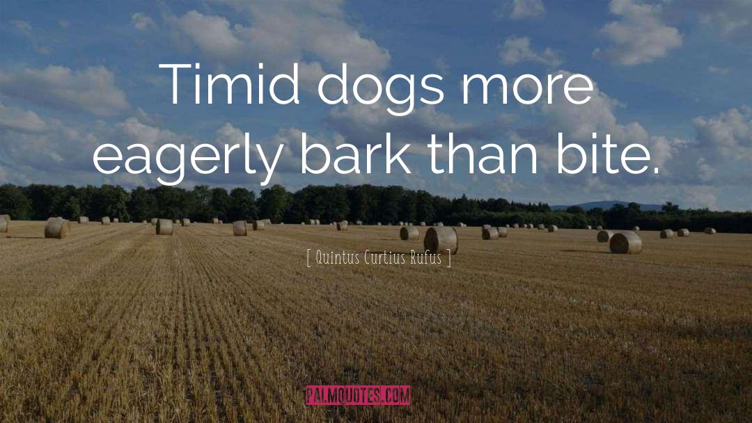Quintus Curtius Rufus Quotes: Timid dogs more eagerly bark