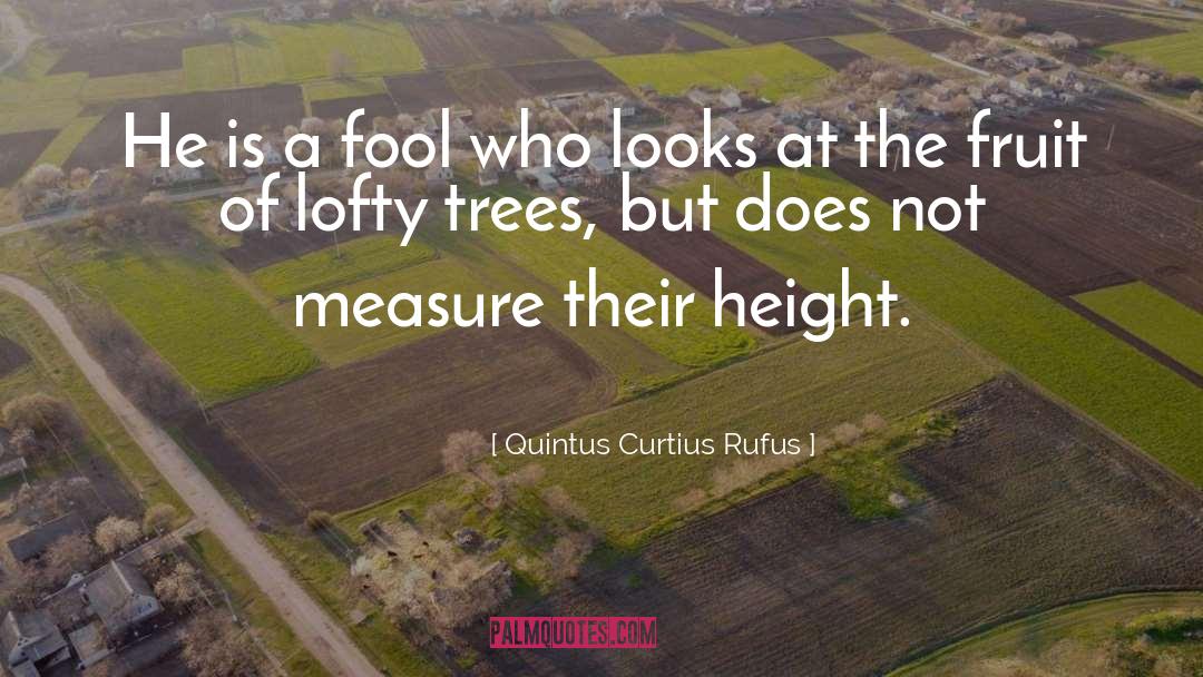 Quintus Curtius Rufus Quotes: He is a fool who