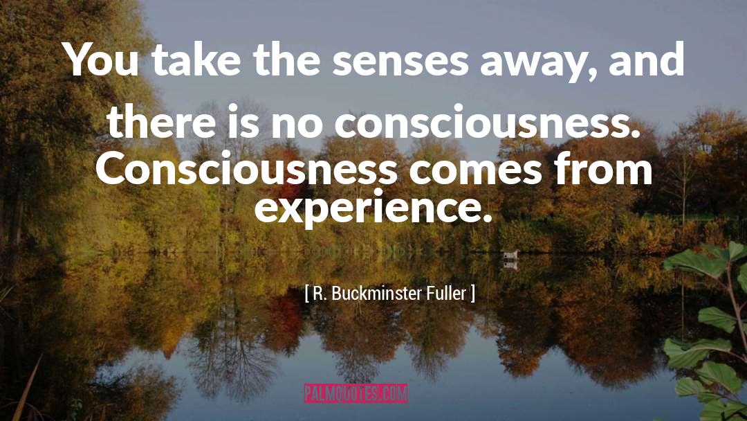 R. Buckminster Fuller Quotes: You take the senses away,