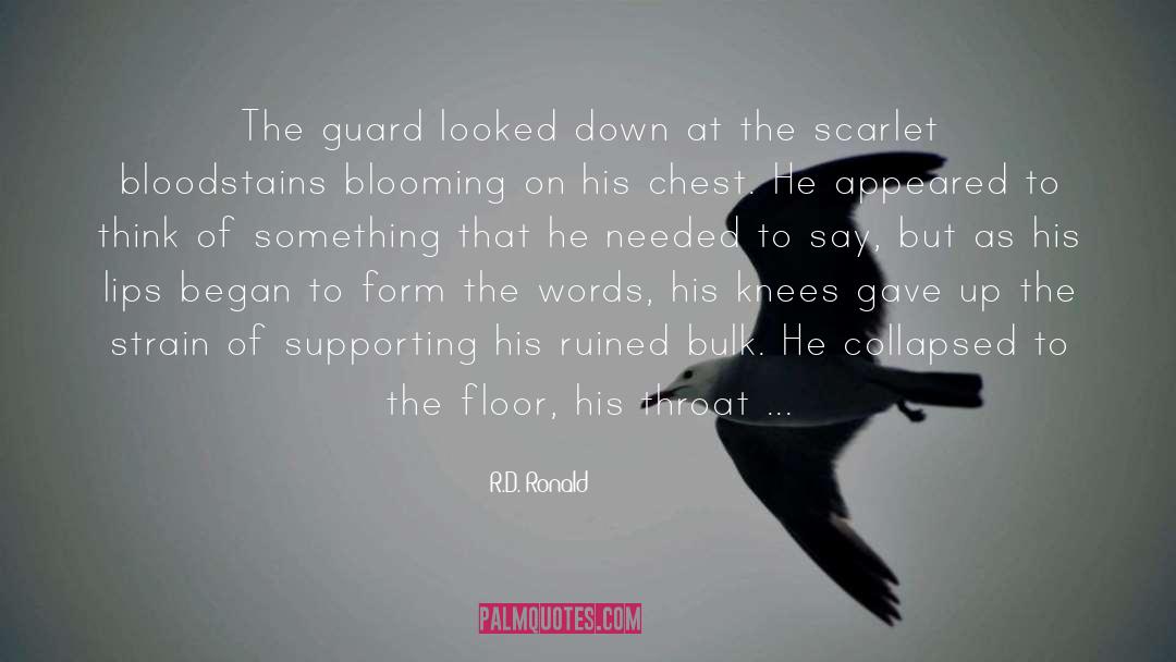 R.D. Ronald Quotes: The guard looked down at