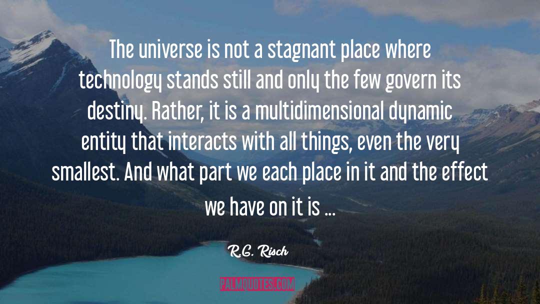 R.G. Risch Quotes: The universe is not a