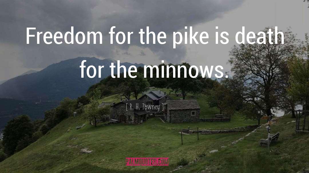 R.H. Tawney Quotes: Freedom for the pike is