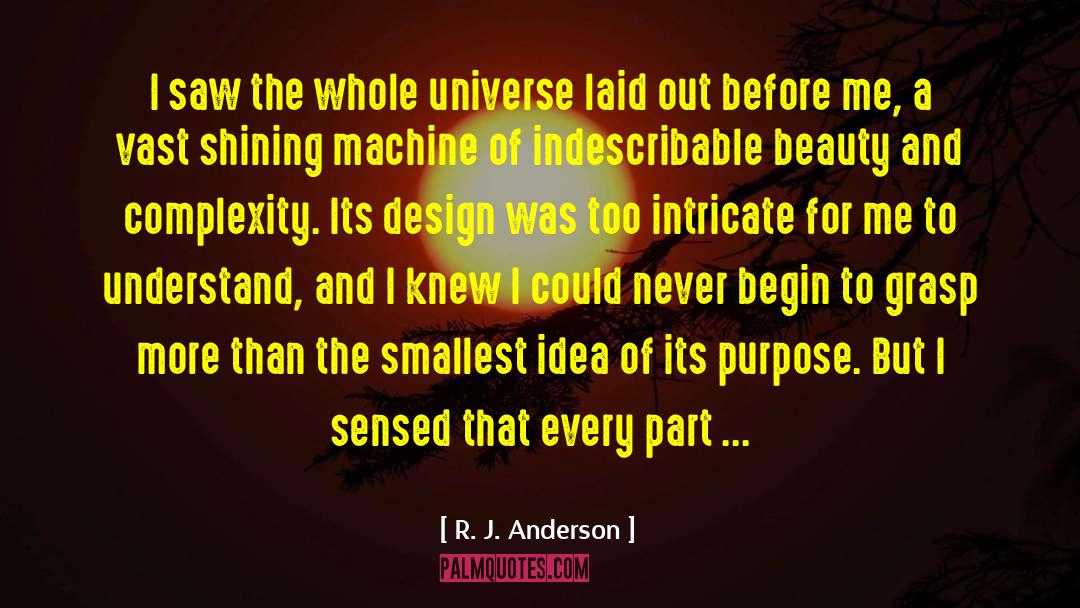 R.J. Anderson Quotes: I saw the whole universe