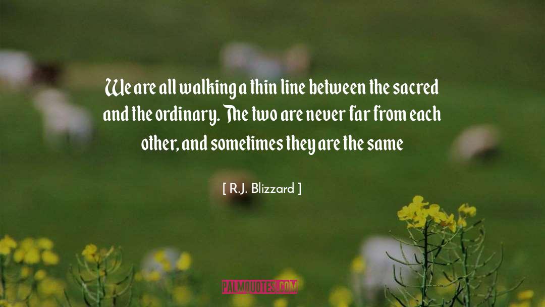 R.J. Blizzard Quotes: We are all walking a