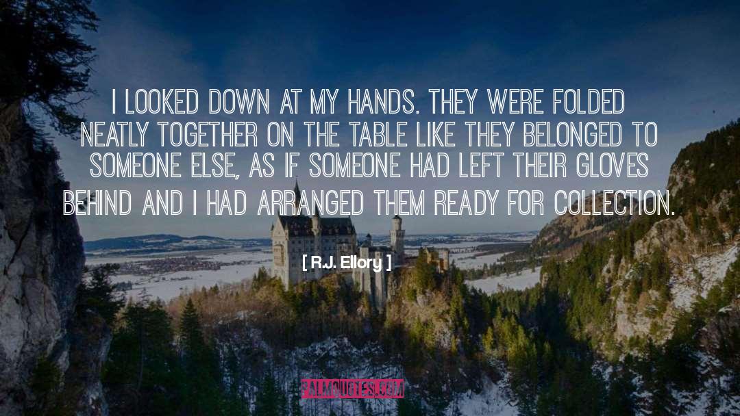 R.J. Ellory Quotes: I looked down at my