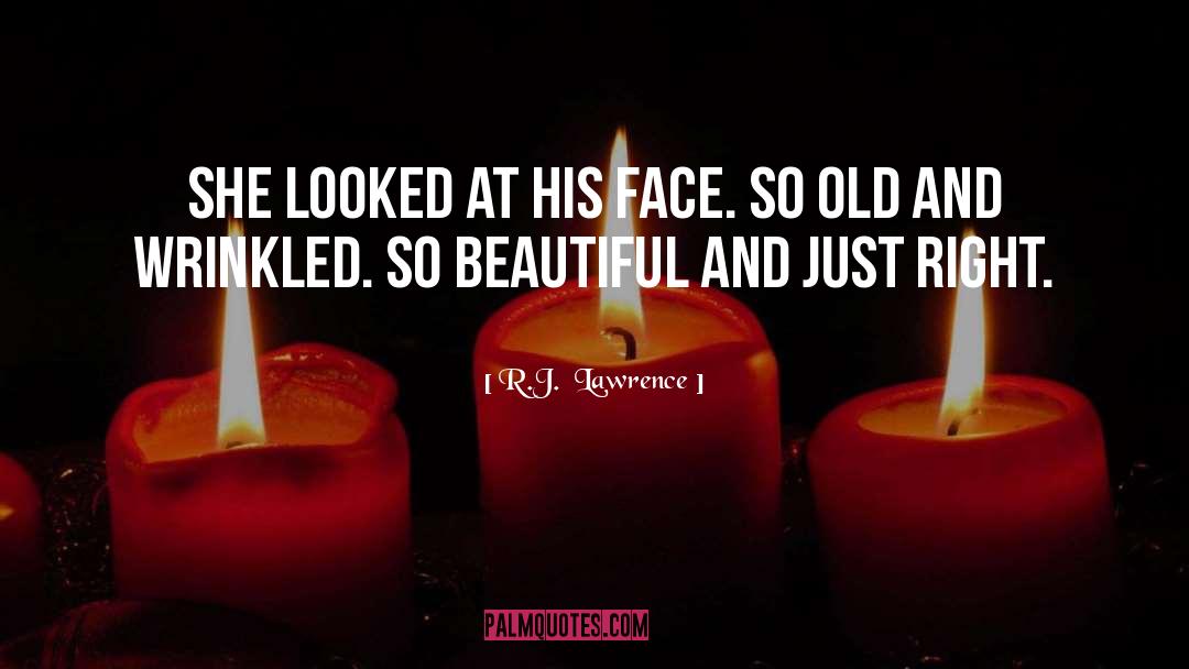 R.J.  Lawrence Quotes: She looked at his face.