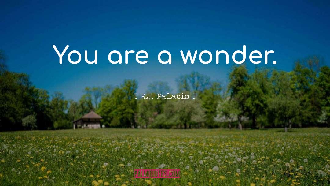 R.J. Palacio Quotes: You are a wonder.