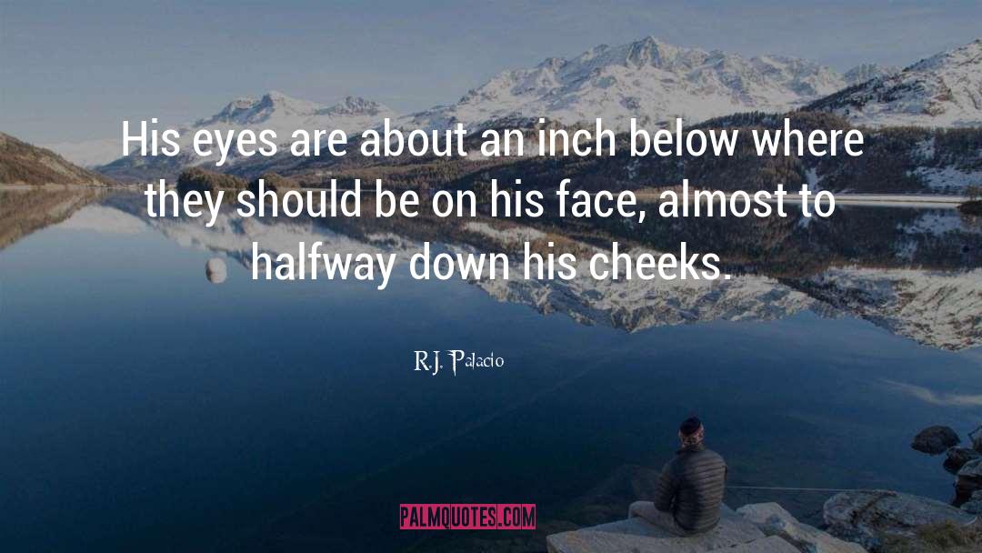 R.J. Palacio Quotes: His eyes are about an