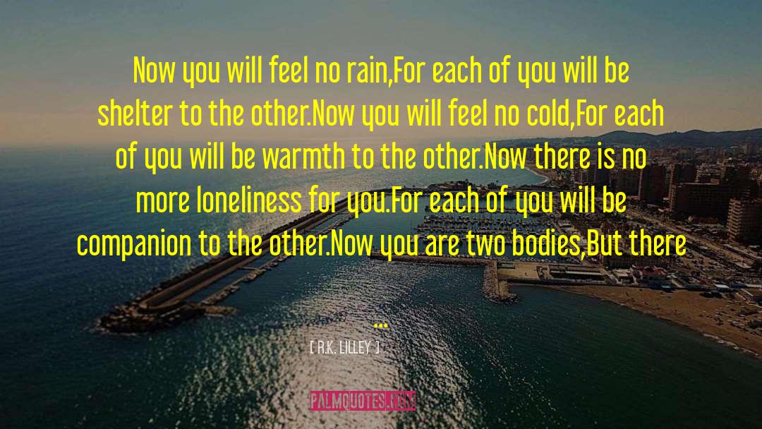 R.K. Lilley Quotes: Now you will feel no