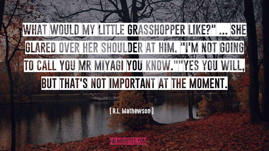 R.L. Mathewson Quotes: What would my little grasshopper