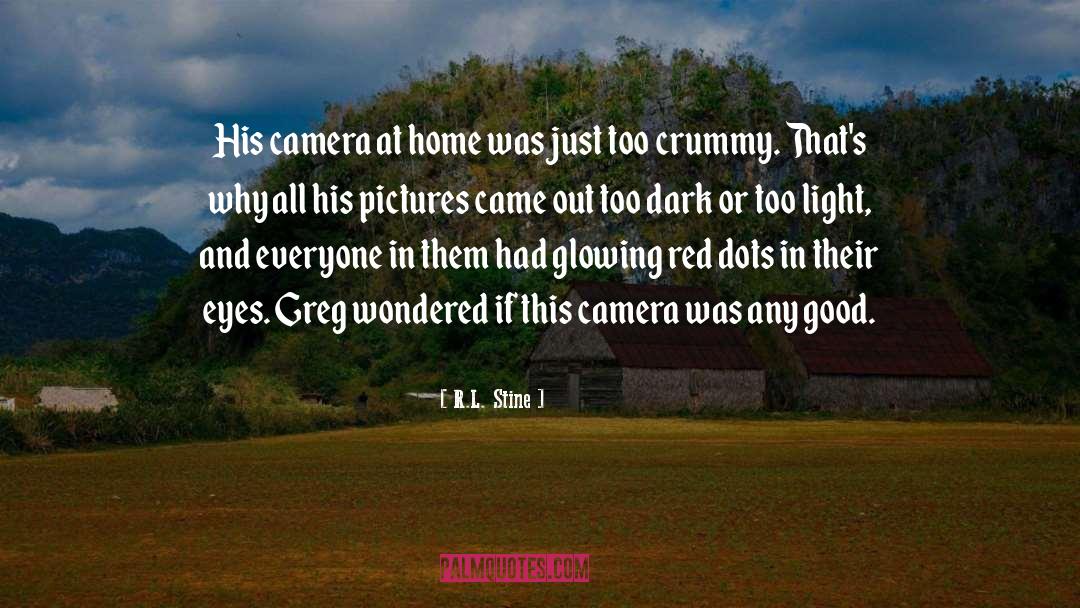 R.L. Stine Quotes: His camera at home was