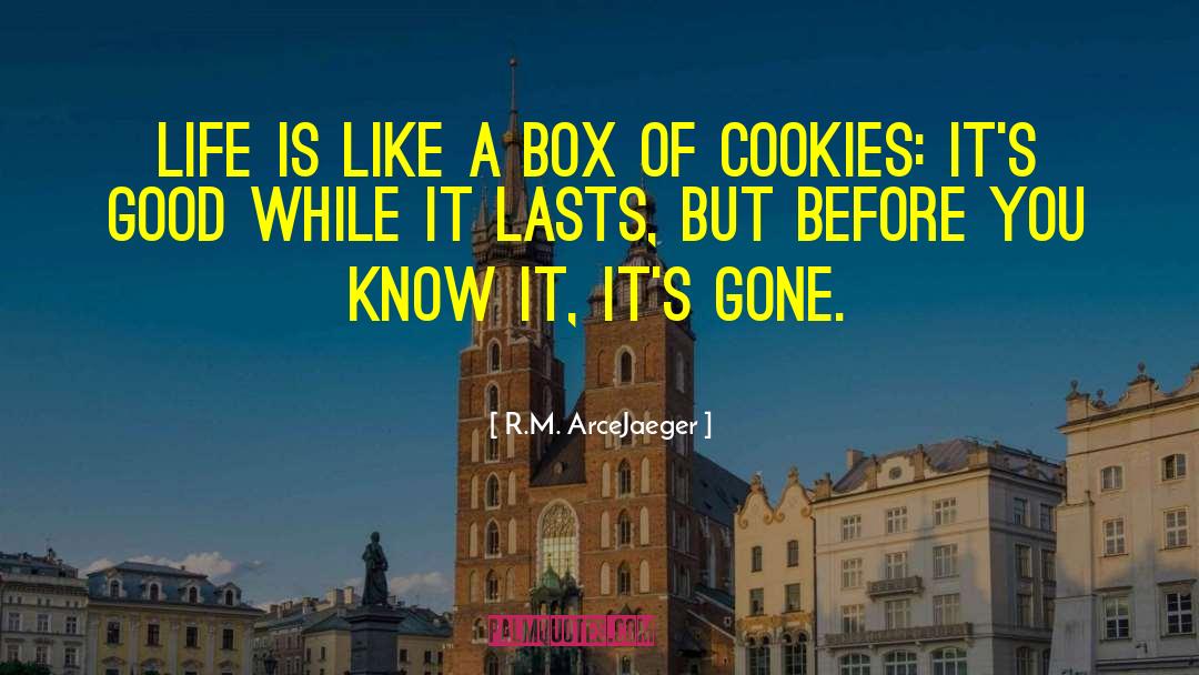 R.M. ArceJaeger Quotes: Life is like a box