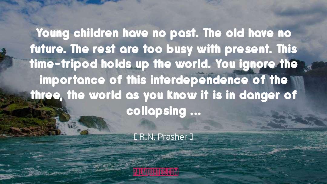 R.N. Prasher Quotes: Young children have no past.