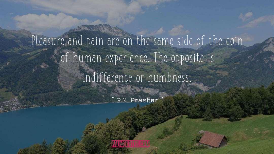 R.N. Prasher Quotes: Pleasure and pain are on