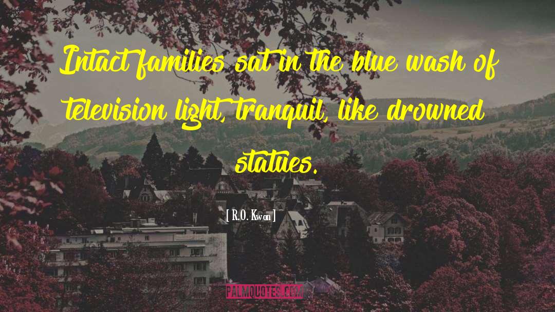 R.O. Kwon Quotes: Intact families sat in the